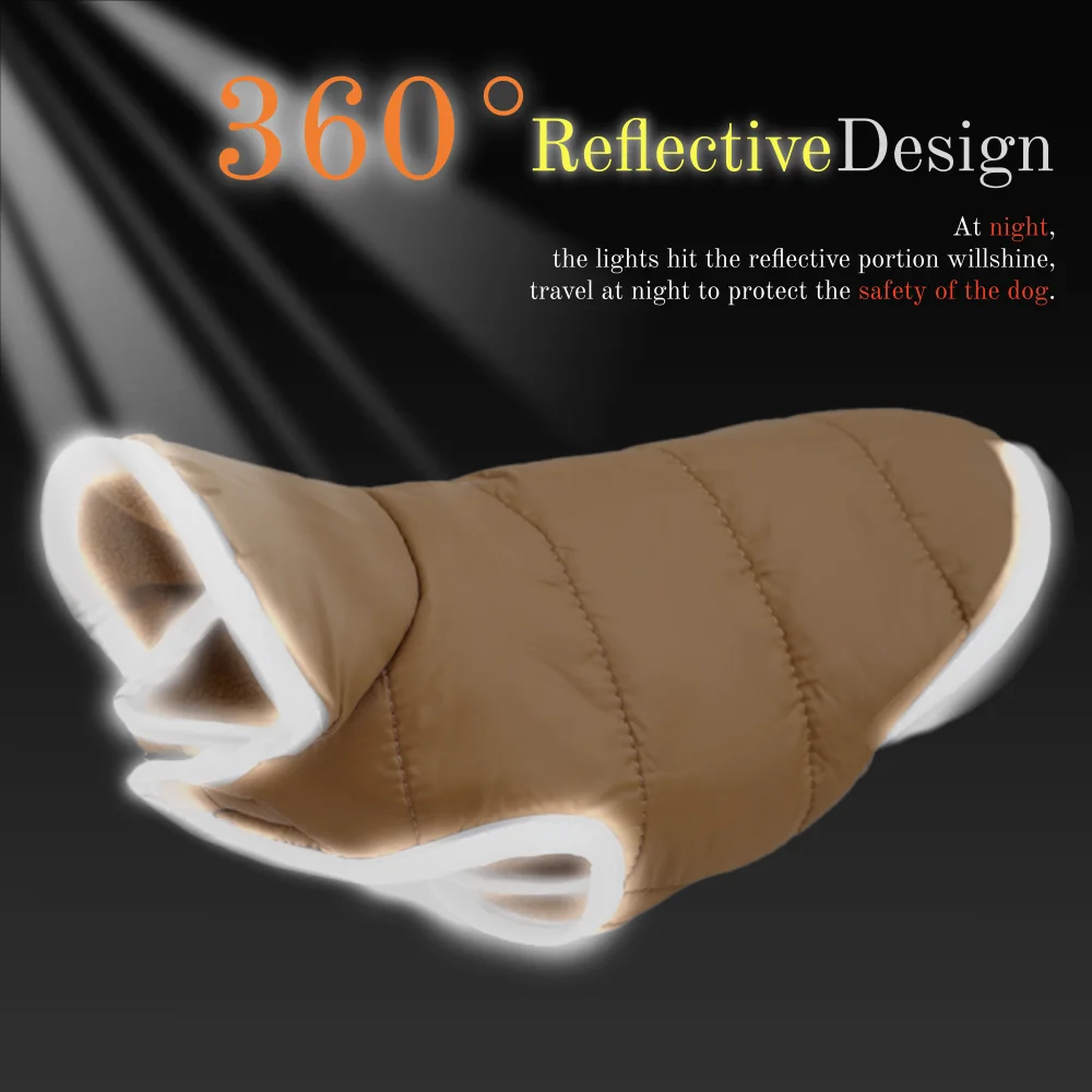 Winter Arc is Here !!! For pets